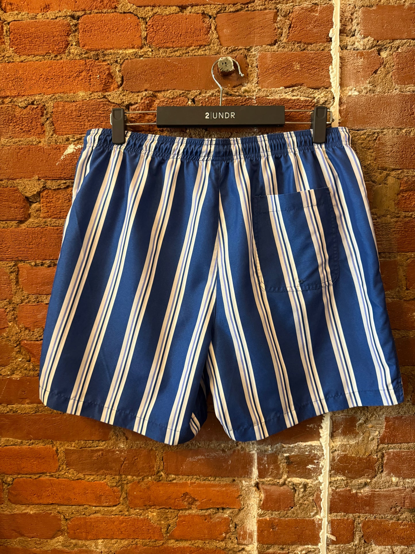 Blue Striped Swim Trunks