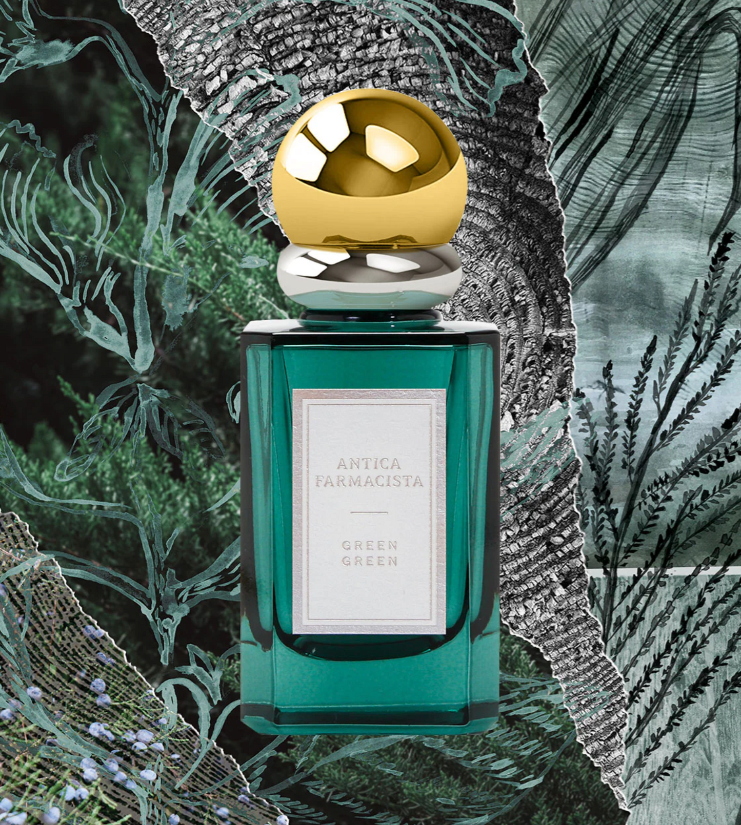 Paxton'sGreen Green PerfumeGiftFRAGRANCE