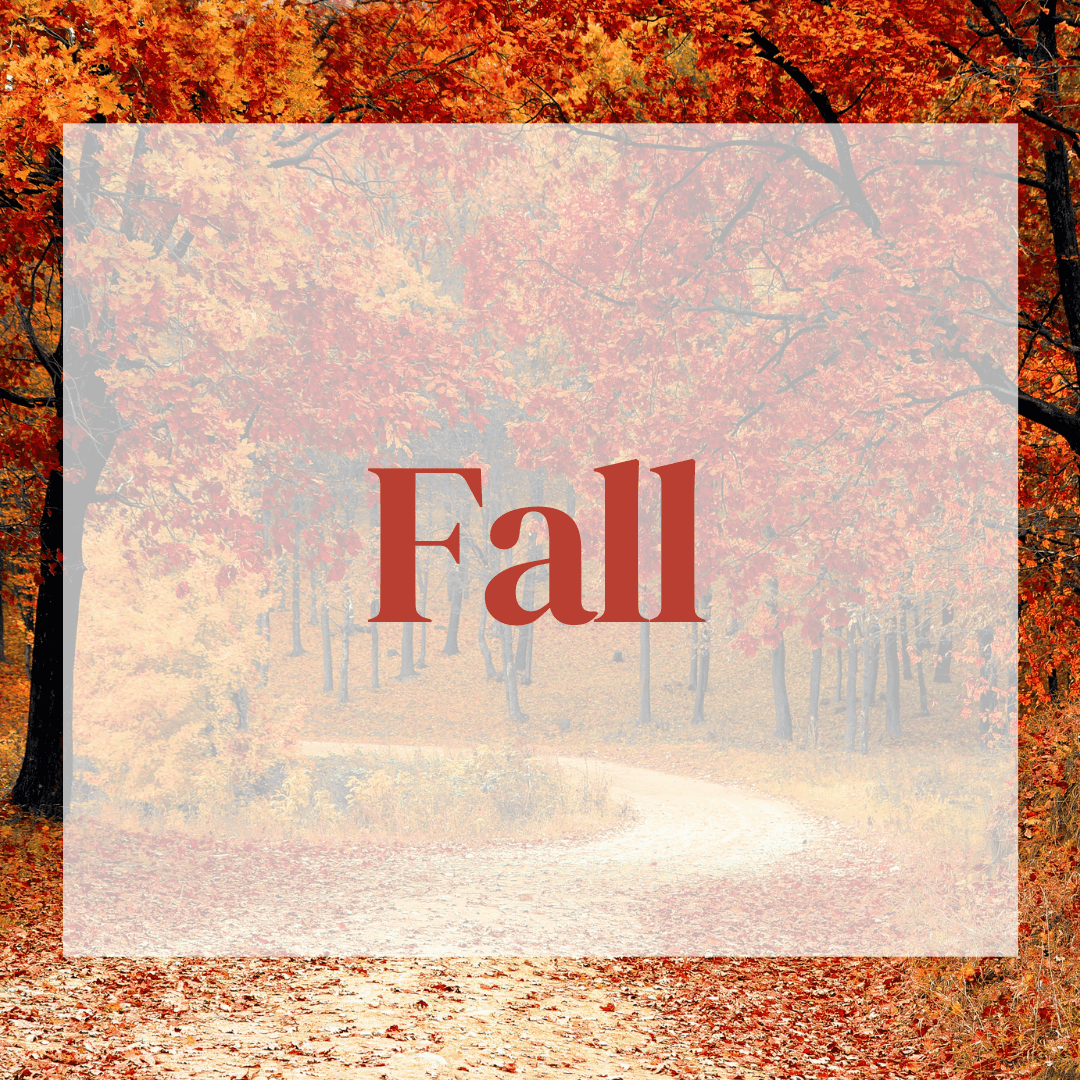 Fall