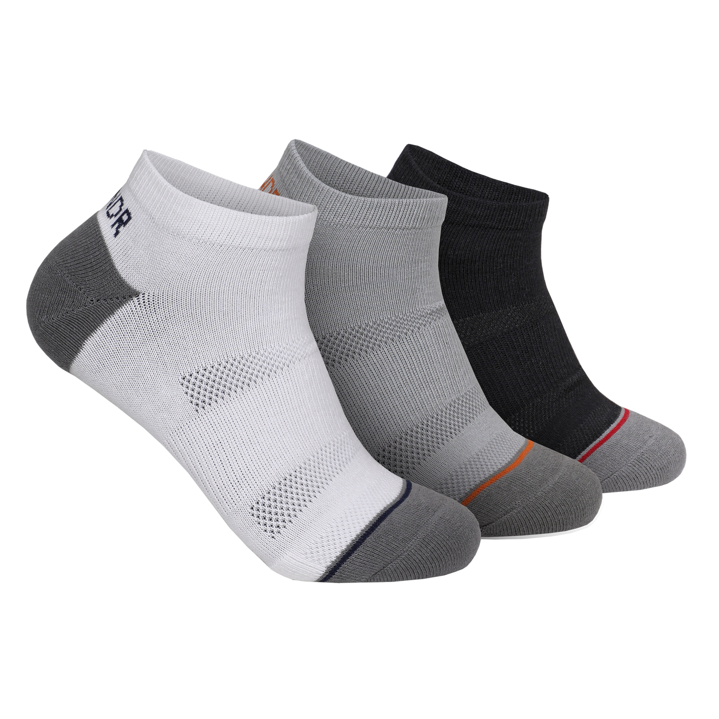 Paxton'sGroove Ankle Sock- 3 PackGiftGift