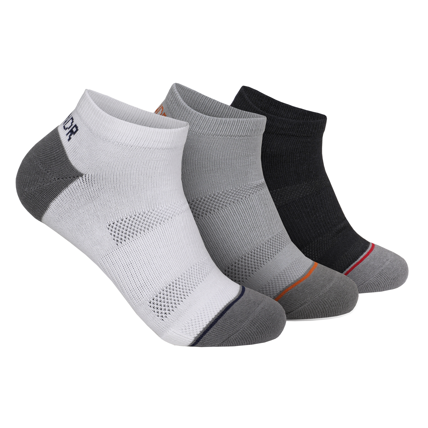 Paxton'sGroove Ankle Sock- 3 PackGiftGift