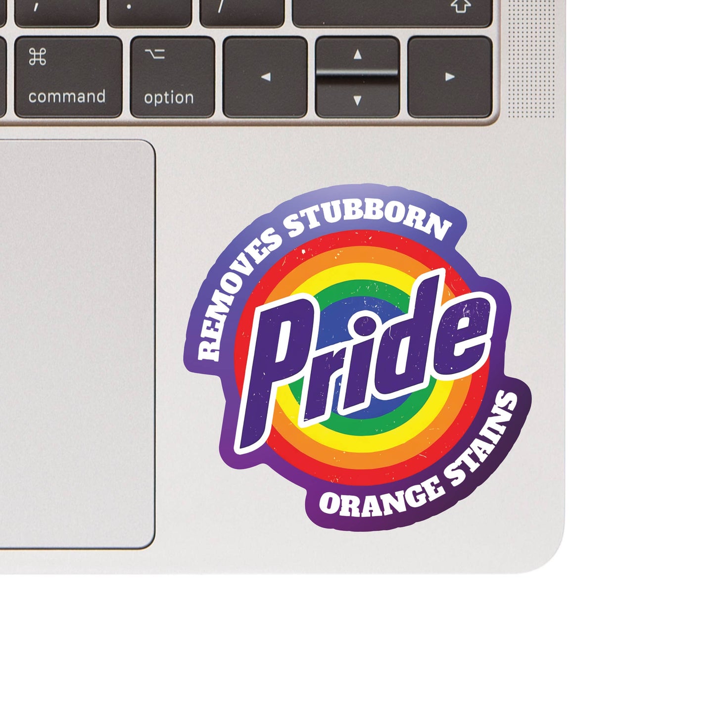Pride Politics LGBTQ+ Ally Vinyl Sticker