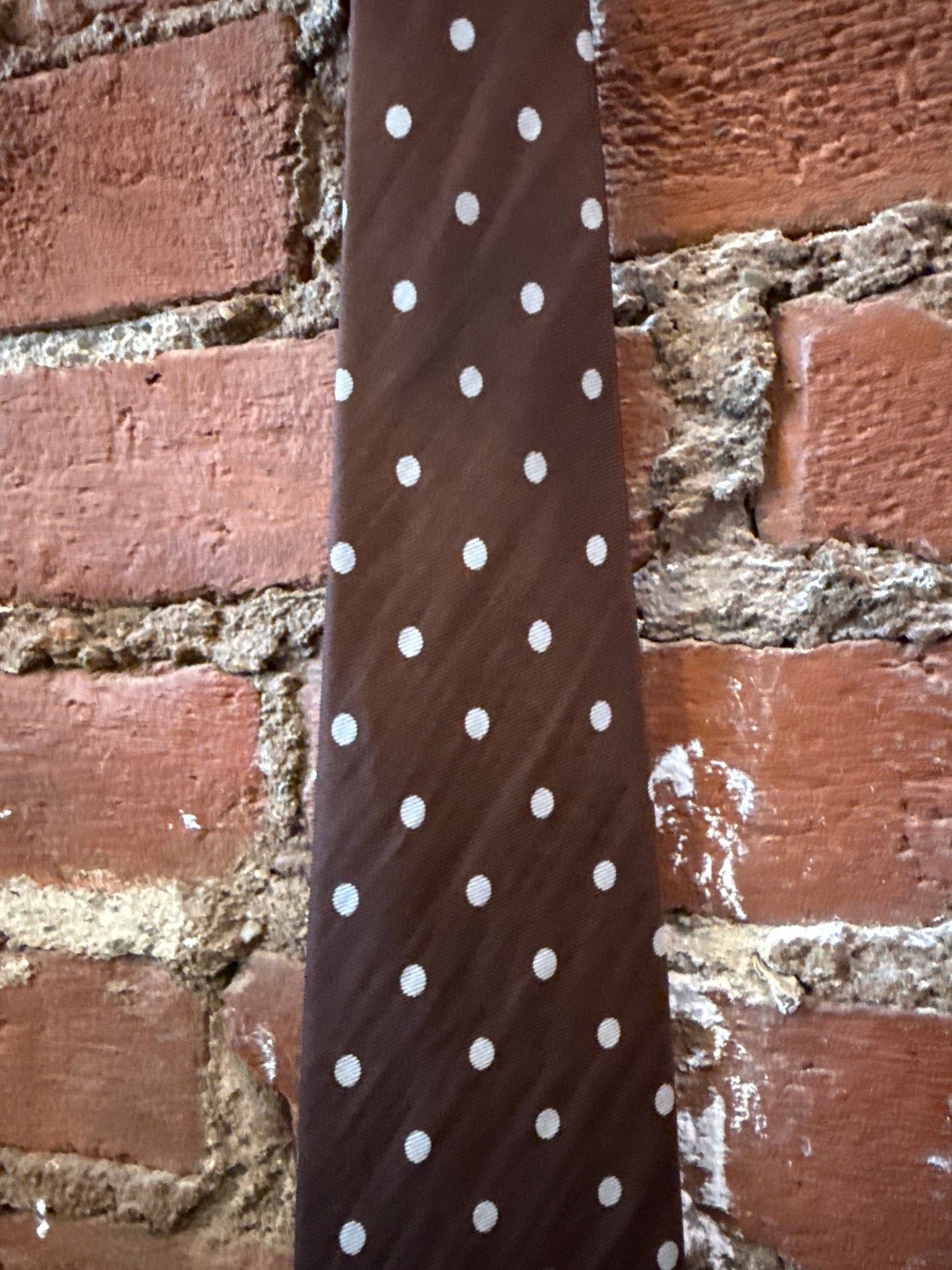 Brown Polka Dot Tie