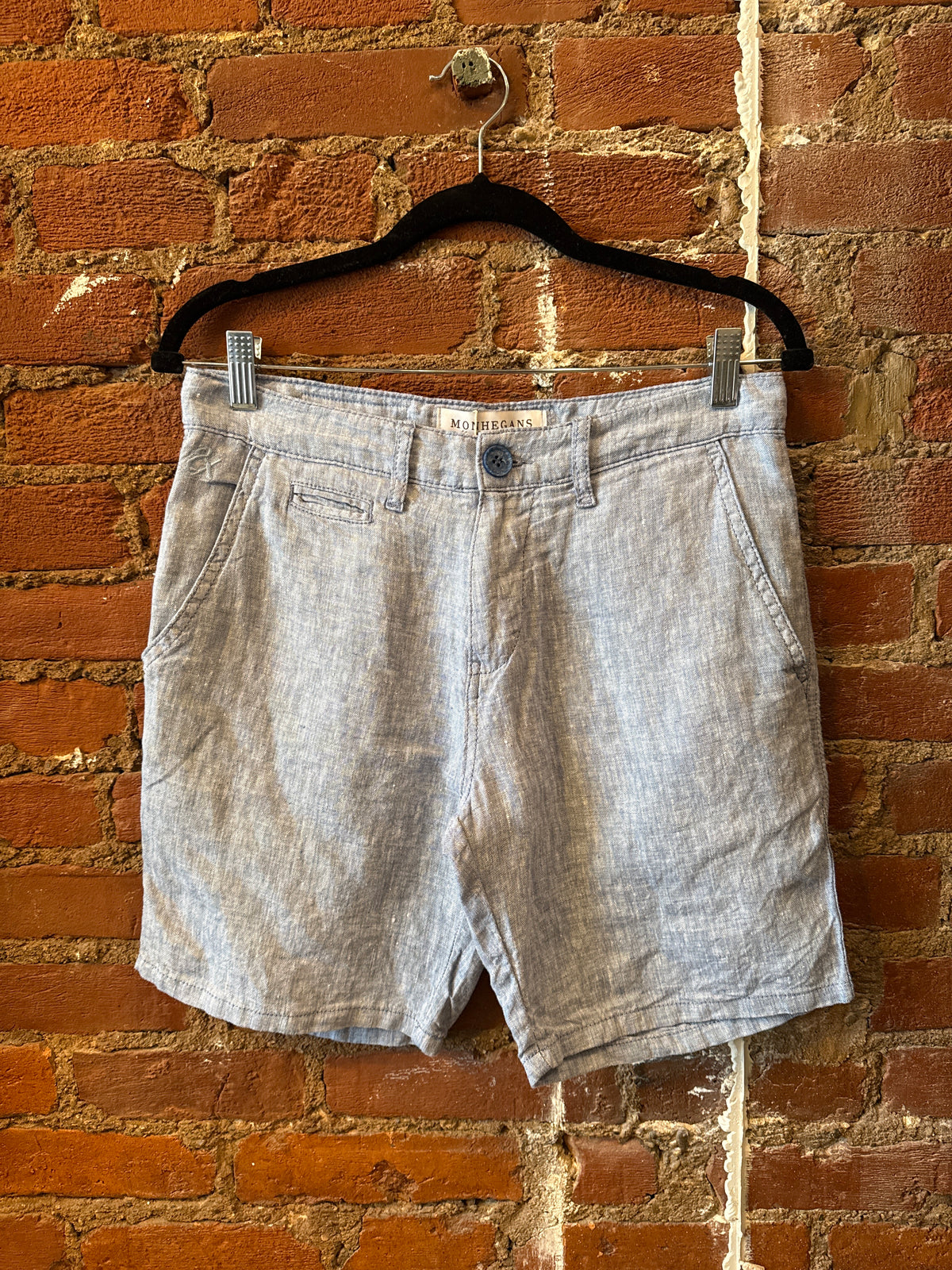 Linen Slim Fit Shorts