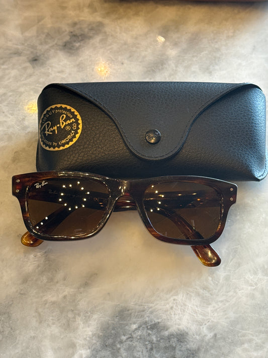 RayBan Burbank Brown