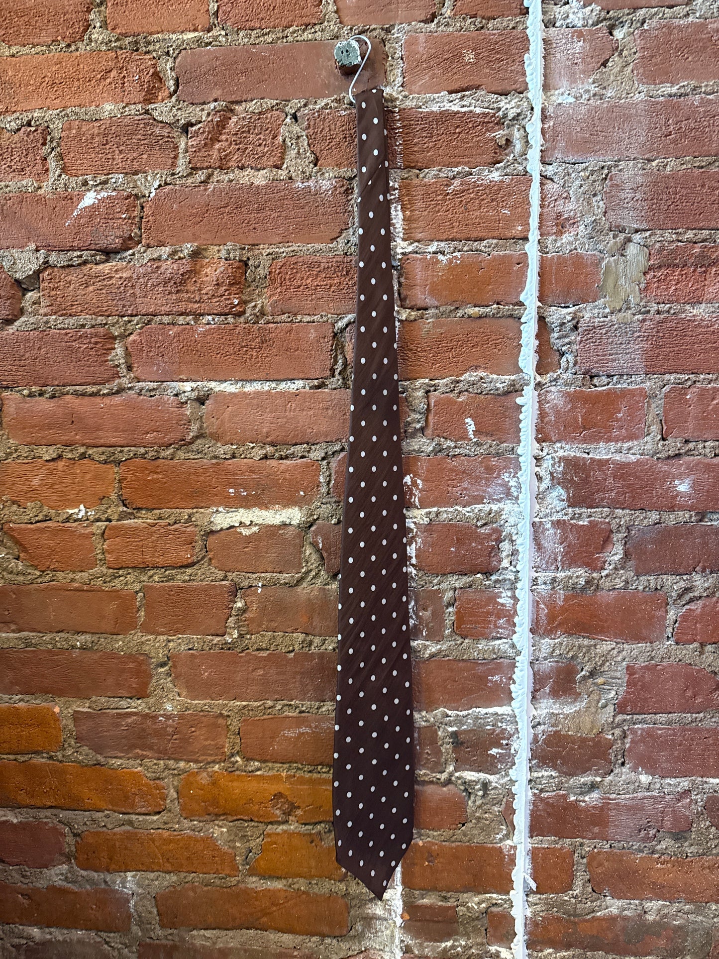 Brown Polka Dot Tie