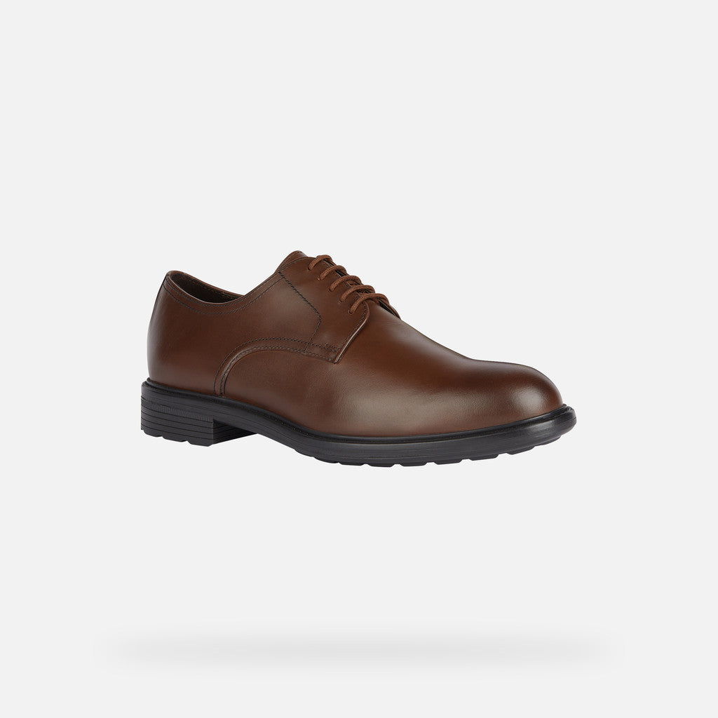 Paxton'sHigh Life by GeoxShoesShoes