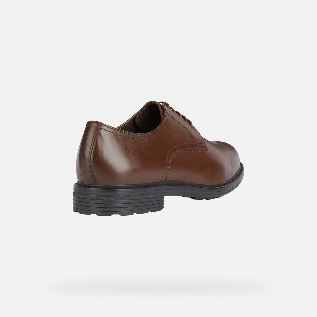 Paxton'sHigh Life by GeoxShoesShoes