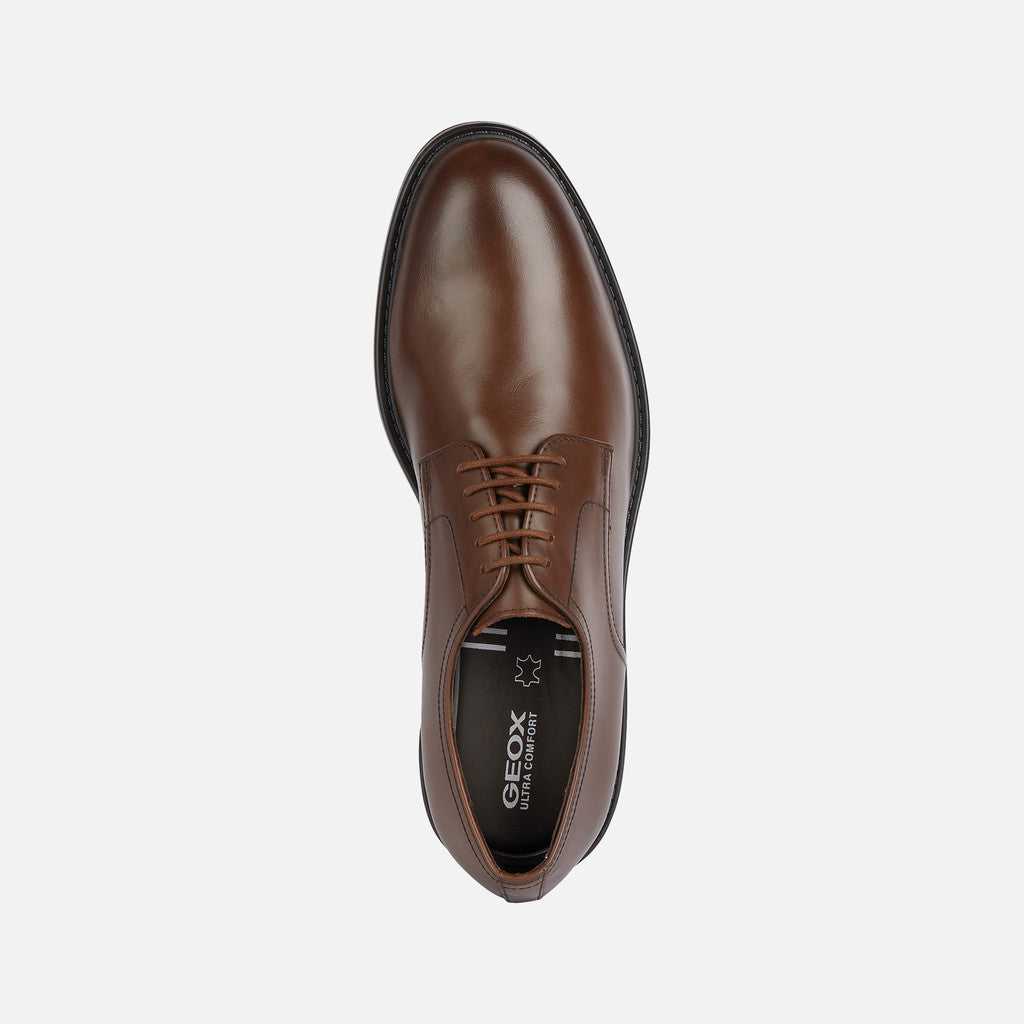 Paxton'sHigh Life by GeoxShoesShoes