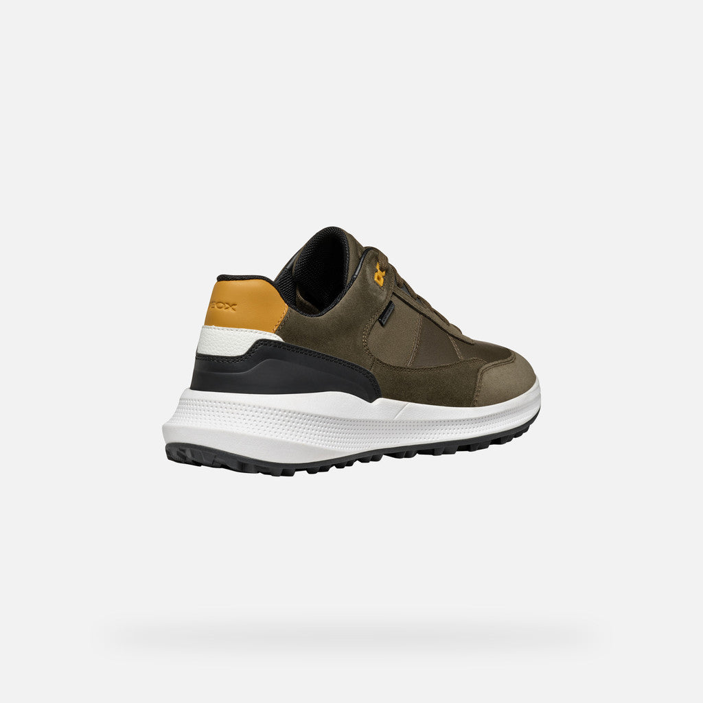 Paxton'sPg1x Abx Man by GeoxShoesShoes