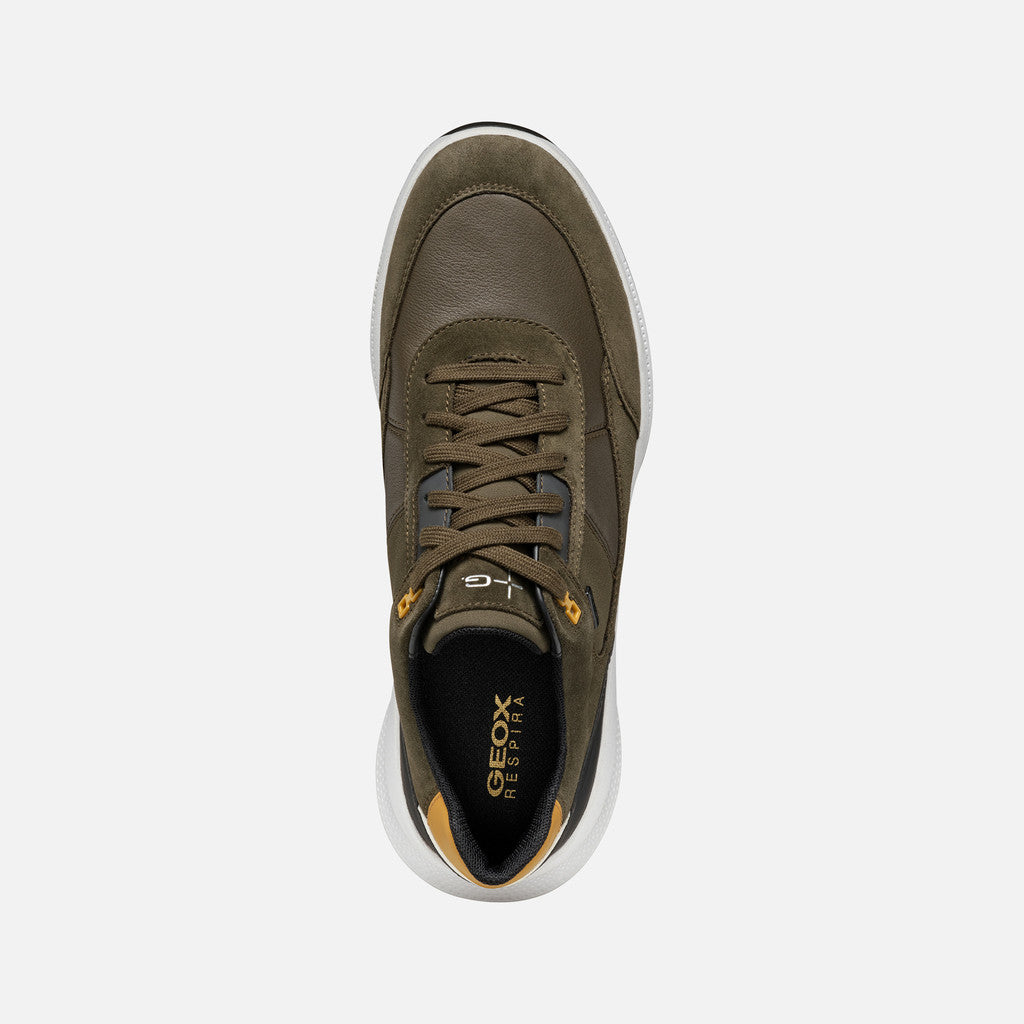 Paxton'sPg1x Abx Man by GeoxShoesShoes
