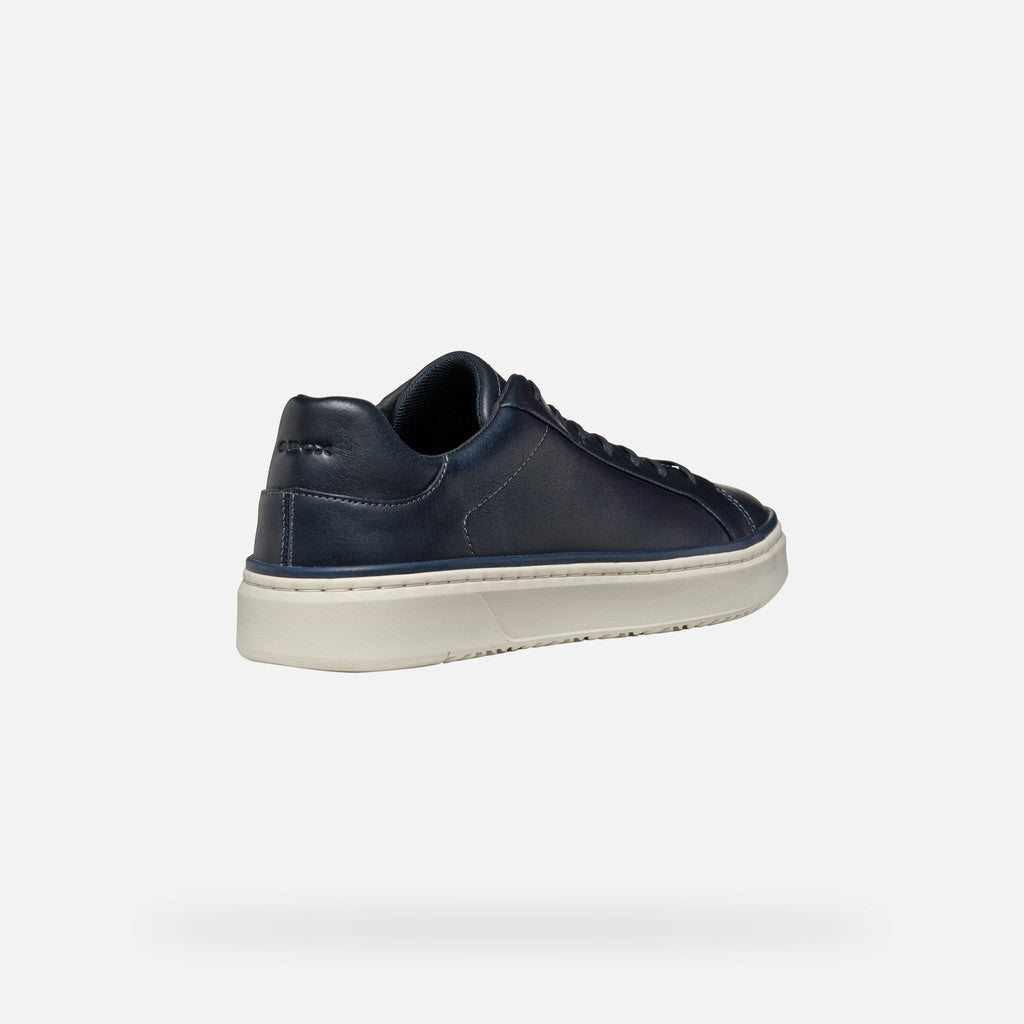 Paxton'sZackerty Sneaker by GeoxShoesShoes