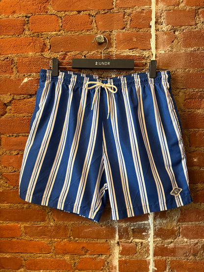 Blue Striped Swim Trunks