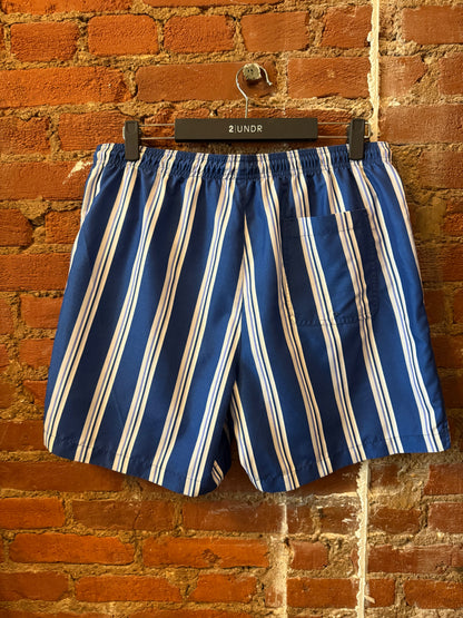 Blue Striped Swim Trunks