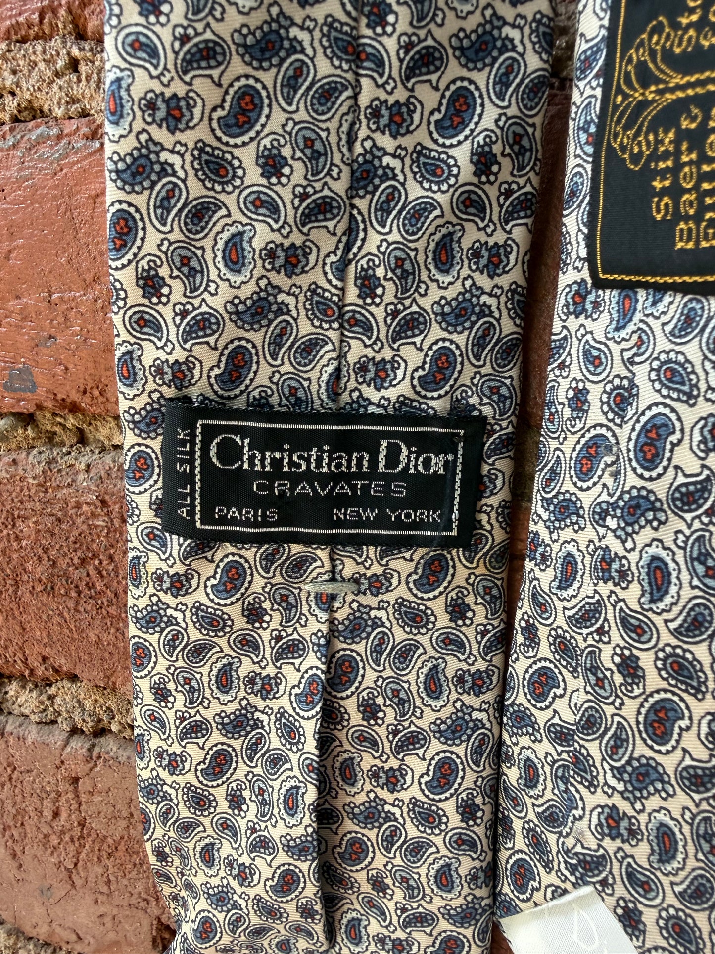 Christian Dior Silk Paisley Tie