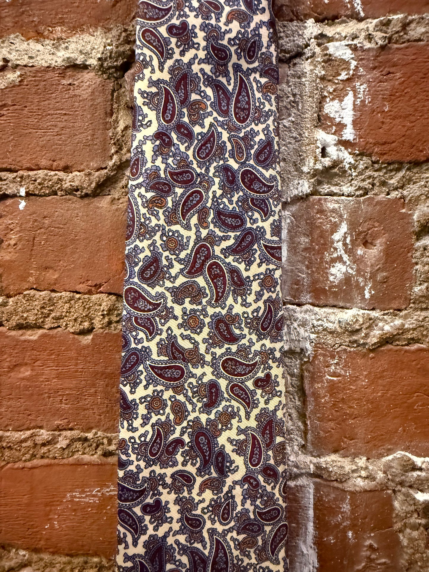 Briar Silk Paisley Tie