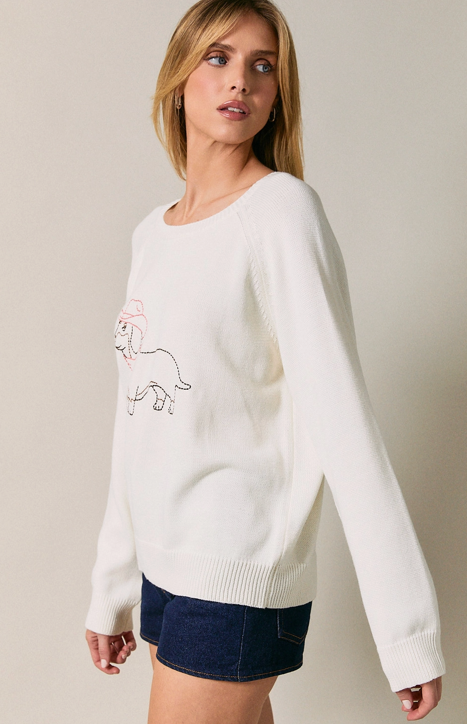 Cowboy Dog Graphic Sweater