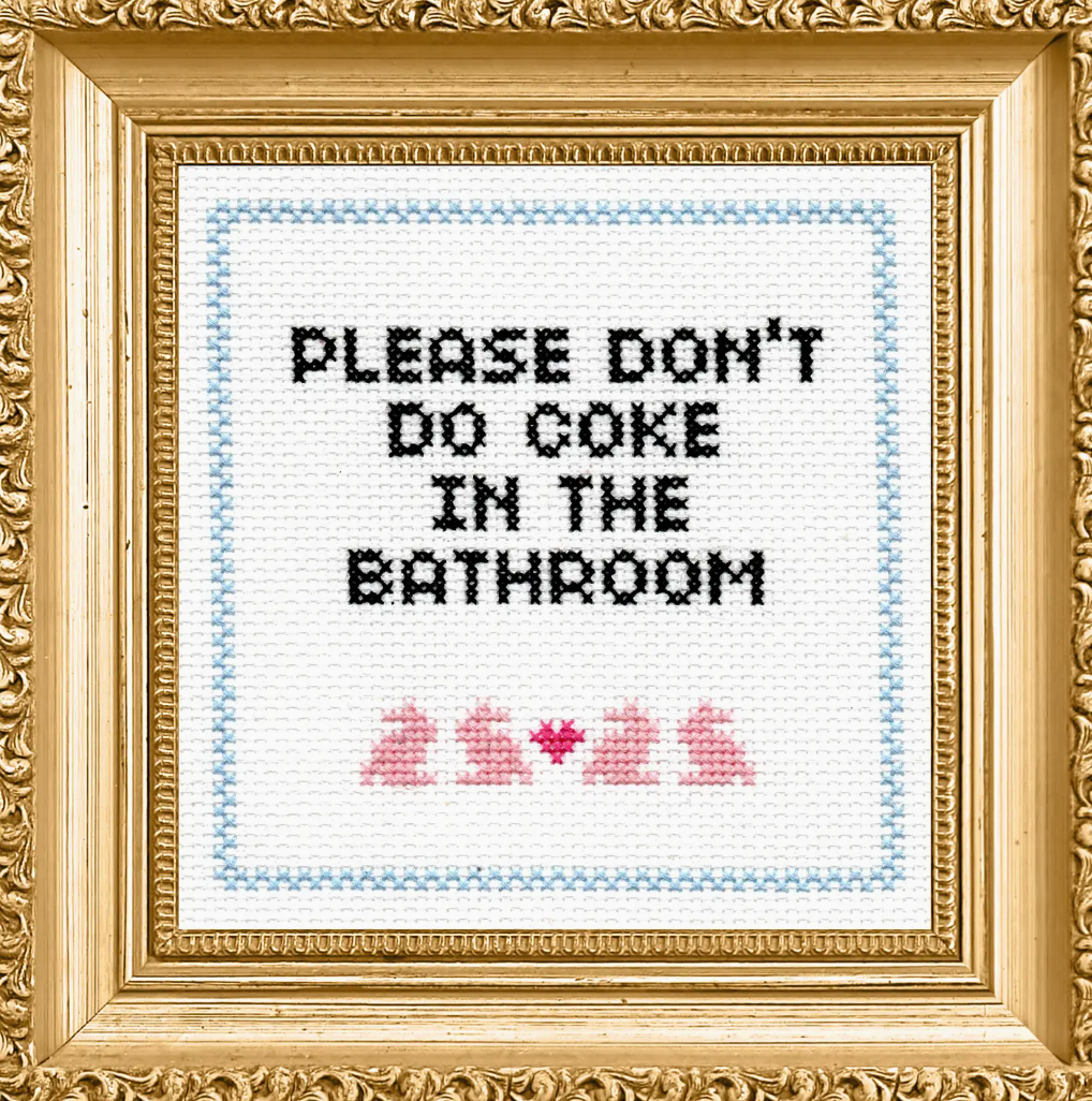 Subversive Cross Stitch Kits *For Adults