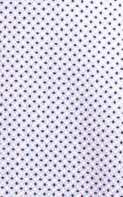 White & Black Swiss Dot Einstein Stretch Button-Up