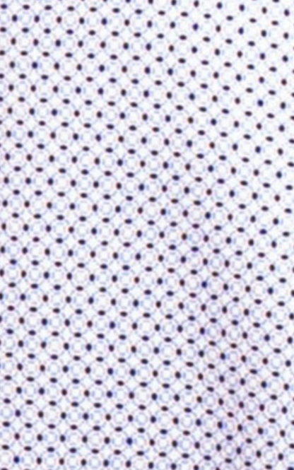 White & Black Swiss Dot Einstein Stretch Button-Up